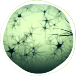Illustration of dark interconnected neurons against a yellow background, representing the cognitive function.
